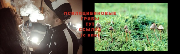 тгк Надым