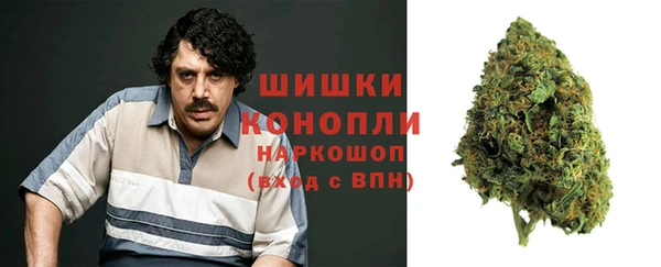 дмт Мегион