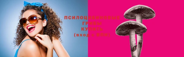 МДПВ Наволоки