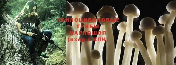 тгк Надым