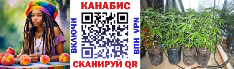Бошки марихуана OG Kush  Купить где  Наро-Фоминск 